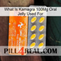 What Is Kamagra 100Mg Oral Jelly Used For new05